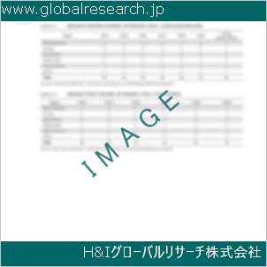 グローバルリサーチ調査資料のイメージ